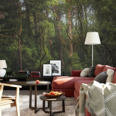 Forest Wallpaper, Peel and Stick, Removable Wallpaper